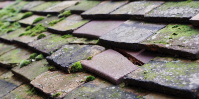 Westley Waterless roof repair costs